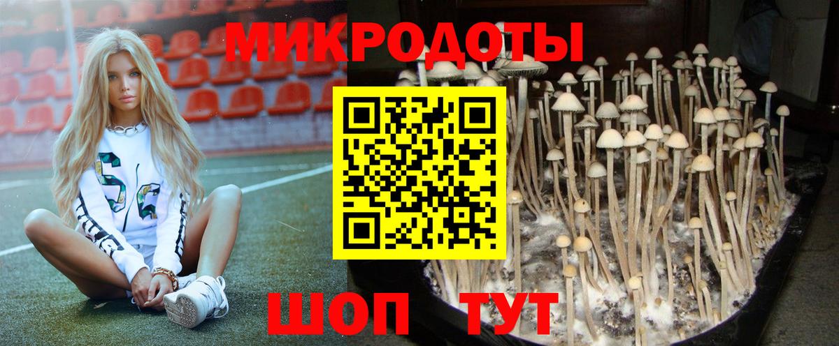 купить   Верхняя Пышма  Галлюциногенные грибы MAGIC MUSHROOMS 