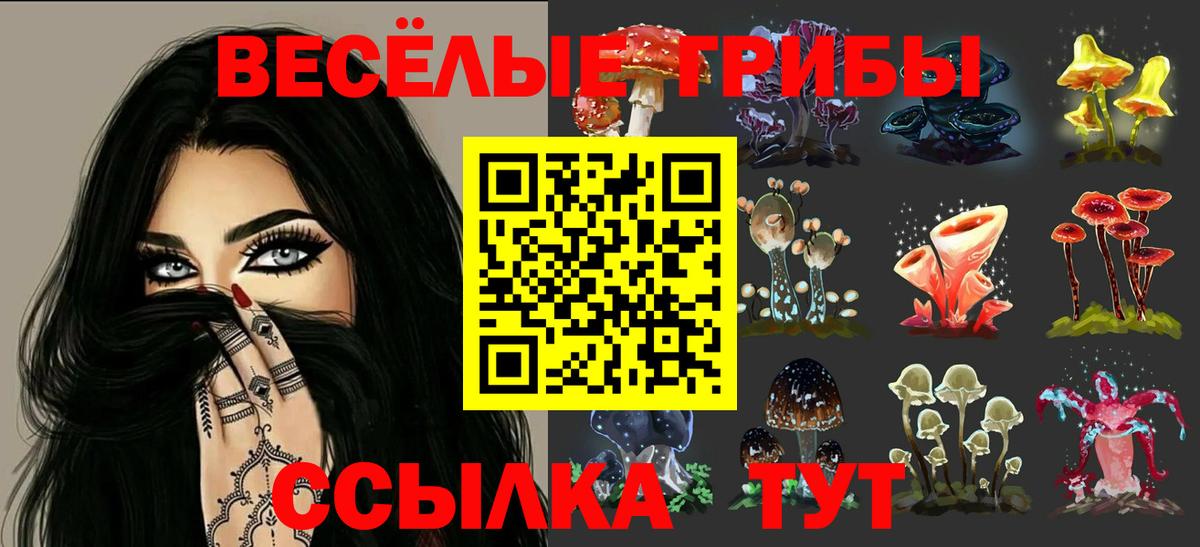Галлюциногенные грибы MAGIC MUSHROOMS Верхняя Пышма